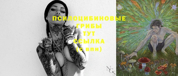 молекула духа Валуйки