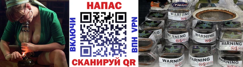 Бошки марихуана индика  магазин  наркотиков  Киселёвск 